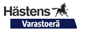 Hästens Excel runkosänky 180x200cm + BJ-petauspatja