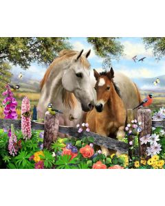 Canvastaulu 40x50, Eläimet