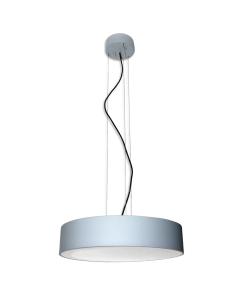 Belize 50 kattovalaisin, harmaa