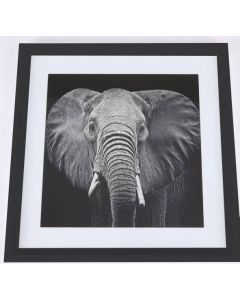 Ellie taulu, 50x50 cm