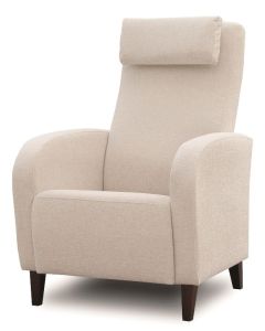 Fizz lepotuoli käsinojilla, eri värivaihtoehtoja