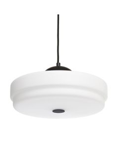 Juni musta kattovalaisin