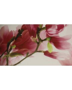 Kukka pussilakana, 150x210