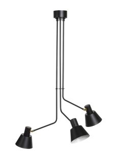 Lacus-kr musta kattovalaisin