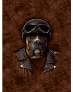 Canvastaulu 40 x 30 x 3 cm Manimals 6