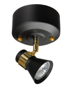 Metis-1 musta spottivalaisin