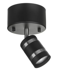 Mons-1 musta spottivalaisin