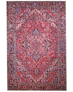 Nefertiti matto, eri kokoja