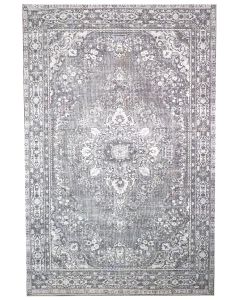 Fiona matto, eri kokoja