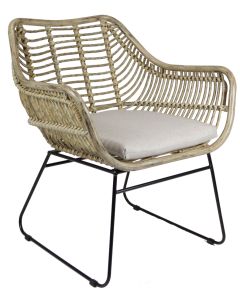 Sisilia tuoli, polyrottinki