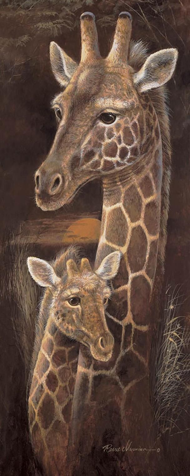 Canvastaulu 20x50cm, Kirahvi ja pentu