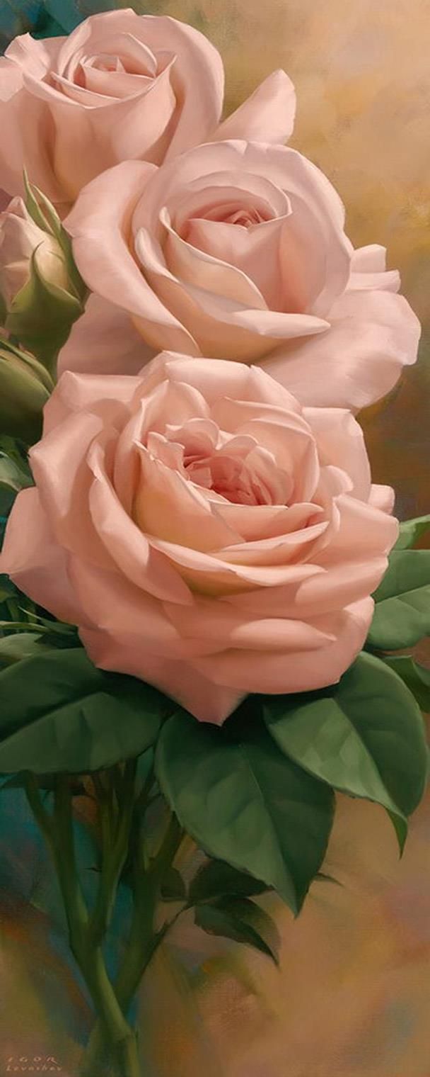 Canvastaulu 20x50cm, Ruusukimppu