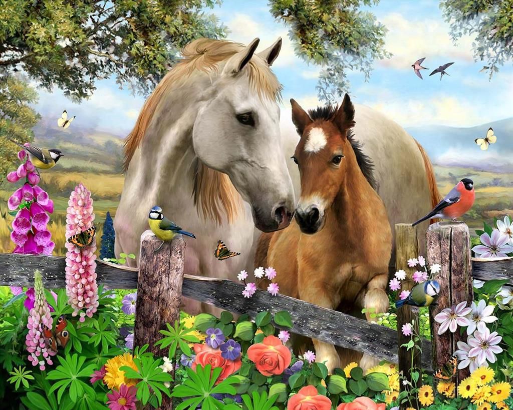 Canvastaulu 40x50, Eläimet