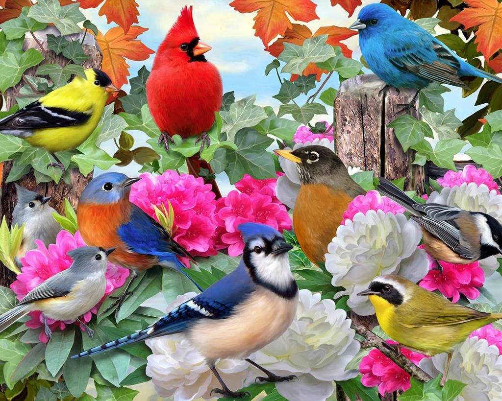 Canvastaulu 40x50, Eläimet