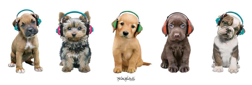 Canvastaulu 30x90, Lasten eläinaihe