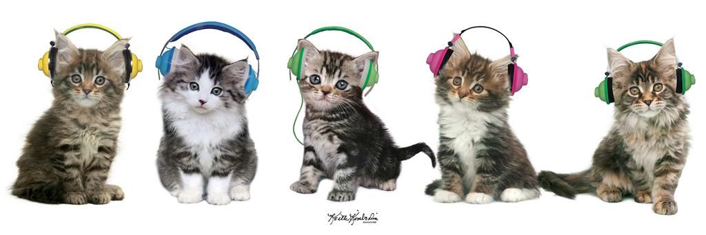 Canvastaulu 30x90, Lasten eläinaihe