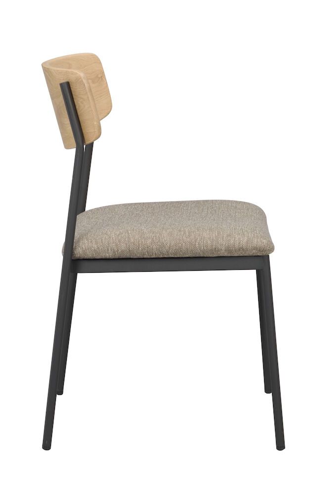 Rowico Maymont tuoli, tammi