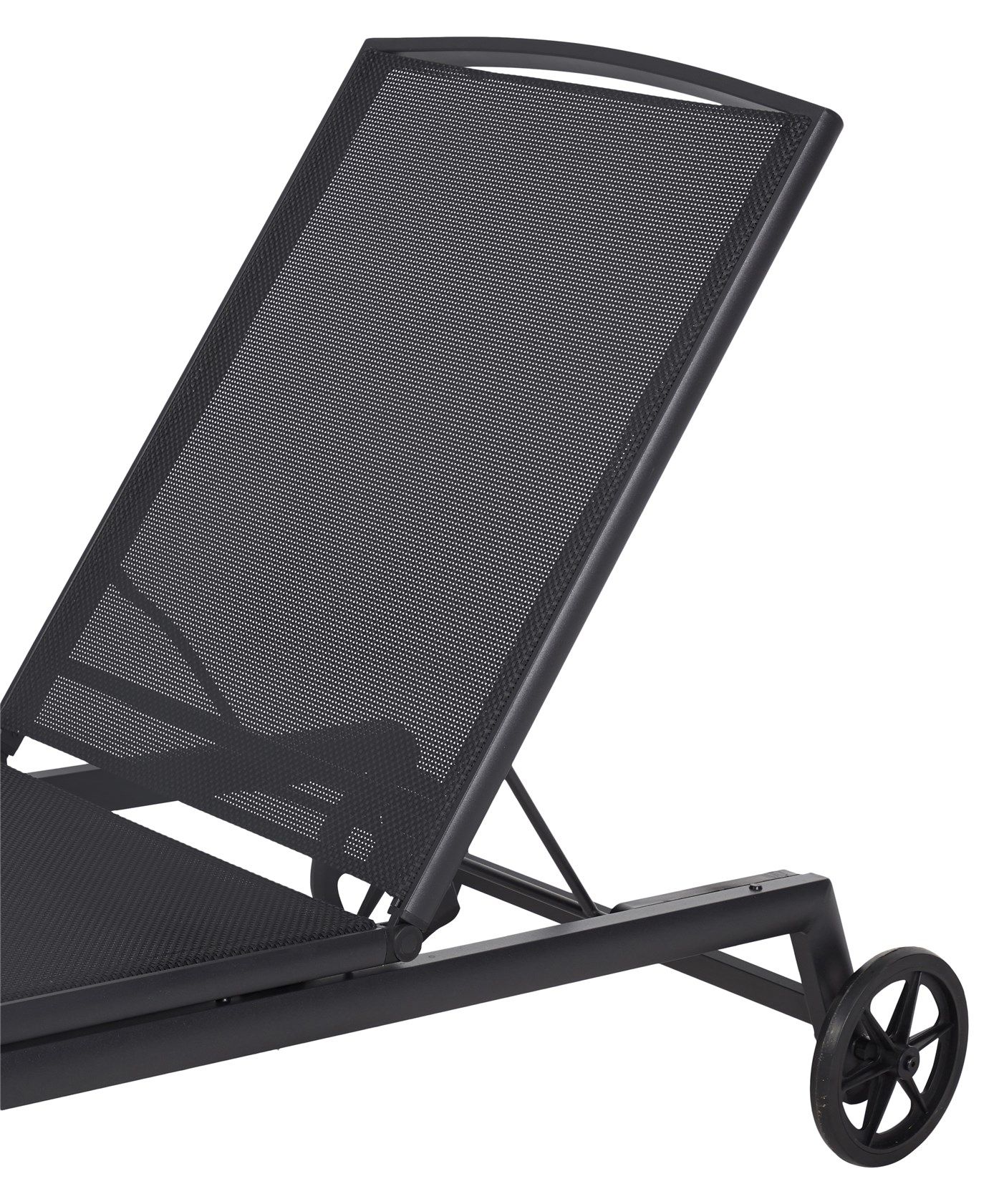 Rocco aurinkolaveri, musta