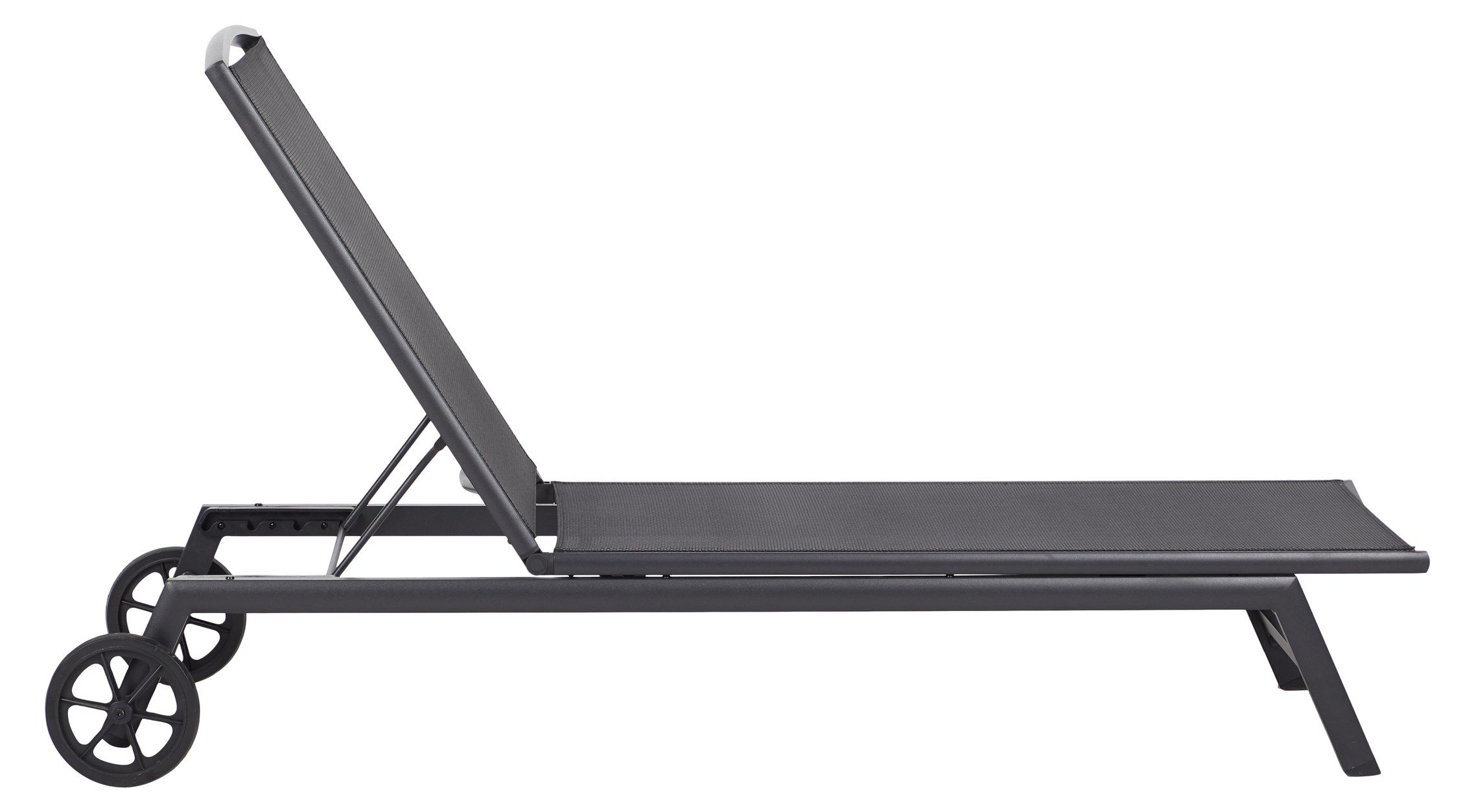 Rocco aurinkolaveri, musta