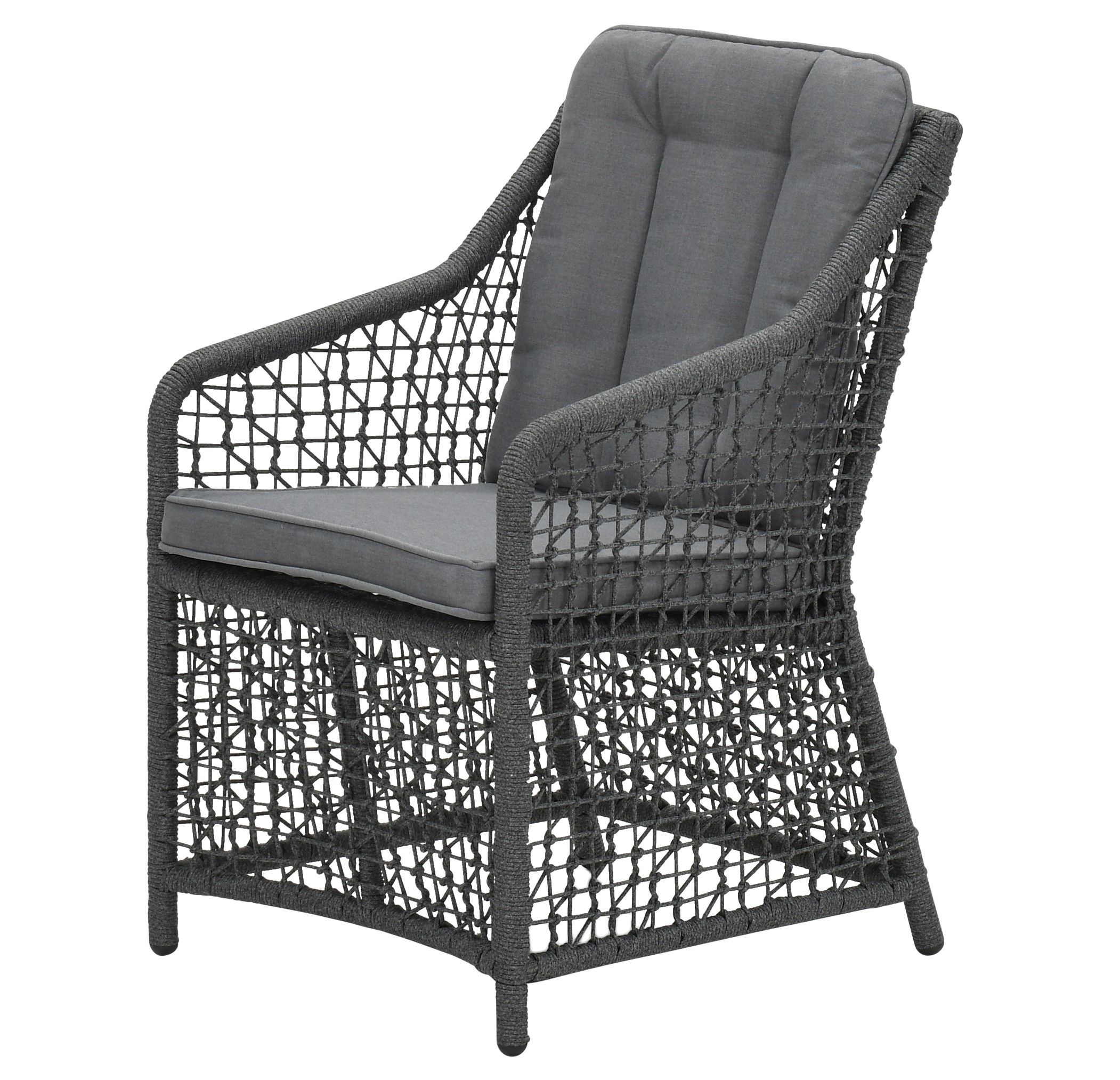 Alexandria tuoli, polyrottinki