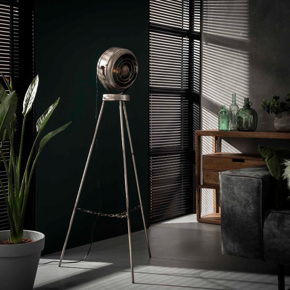 Amsterdam lattiavalaisin, Old Silvery