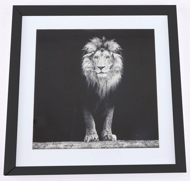 Aslan taulu, 50x50 cm