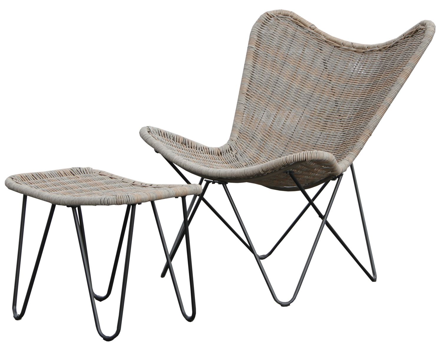 Butterfly lepakkotuoli, polyrottinkia