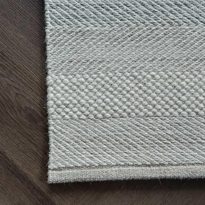 Ebba villamatto, eri kokoja