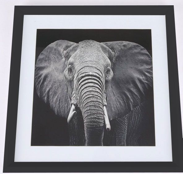 Ellie taulu, 50x50 cm