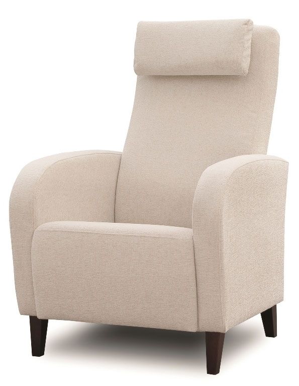 Fizz lepotuoli käsinojilla, eri värivaihtoehtoja