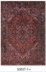 Nefertiti matto, eri kokoja