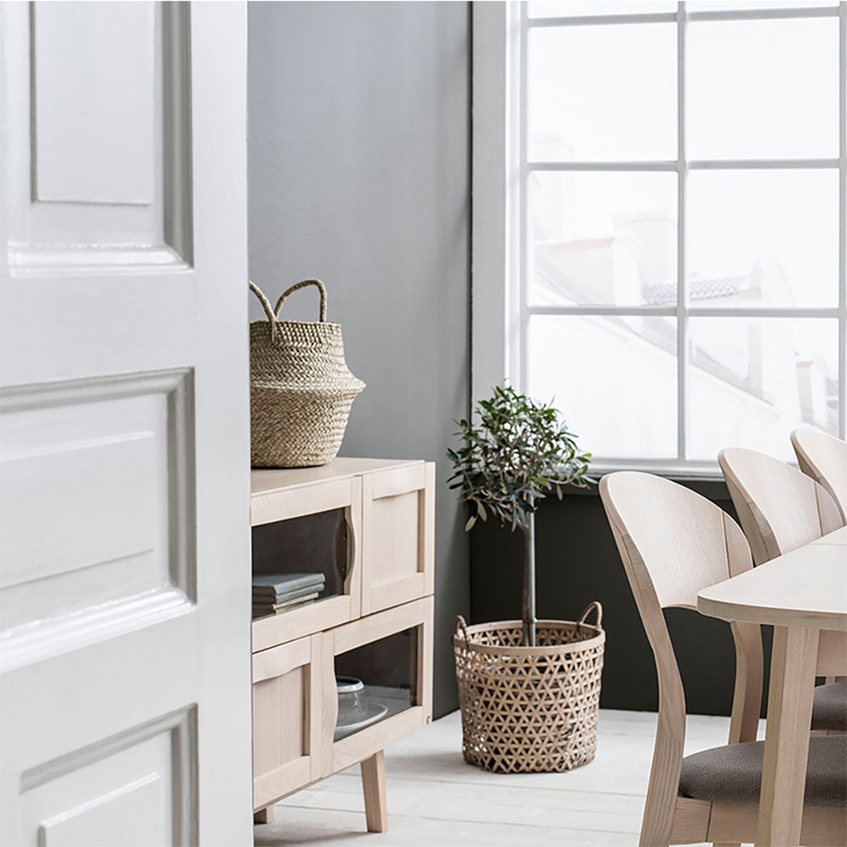 Hans K Rainbow-senkki, valkoöljytty tammi