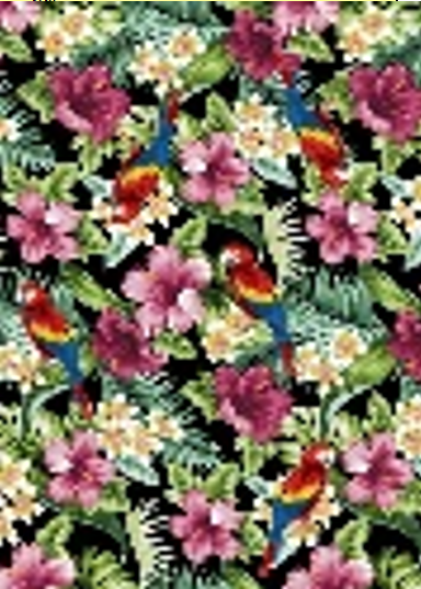 Isla Amazon matto, 160x235cm