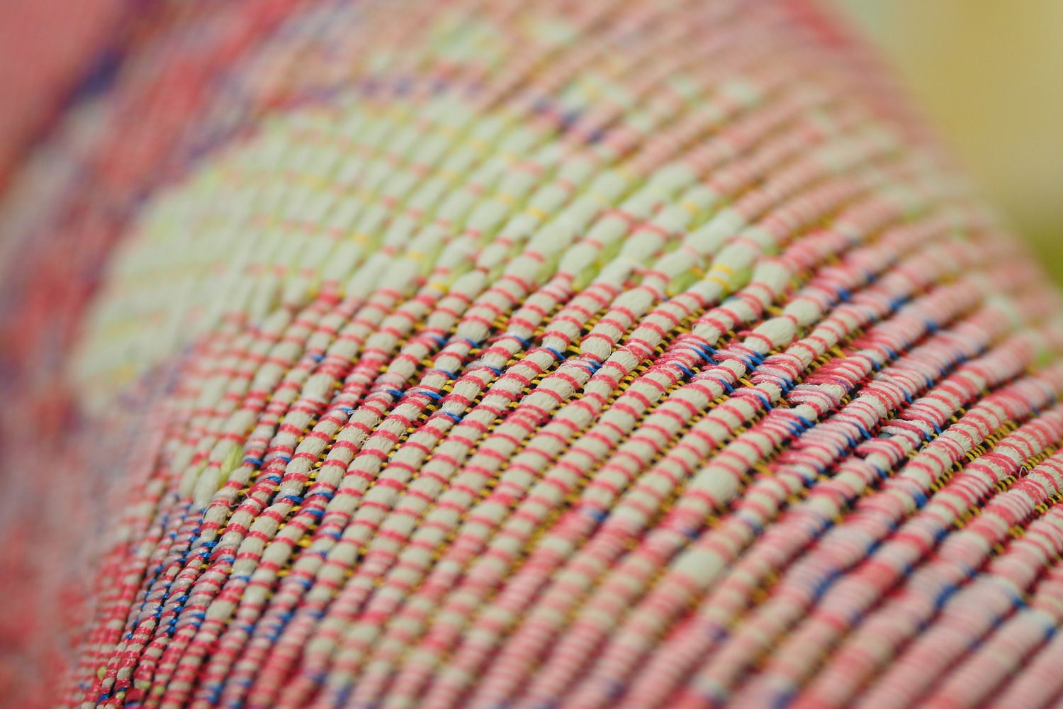 Isla Brazil matto, eri kokoja