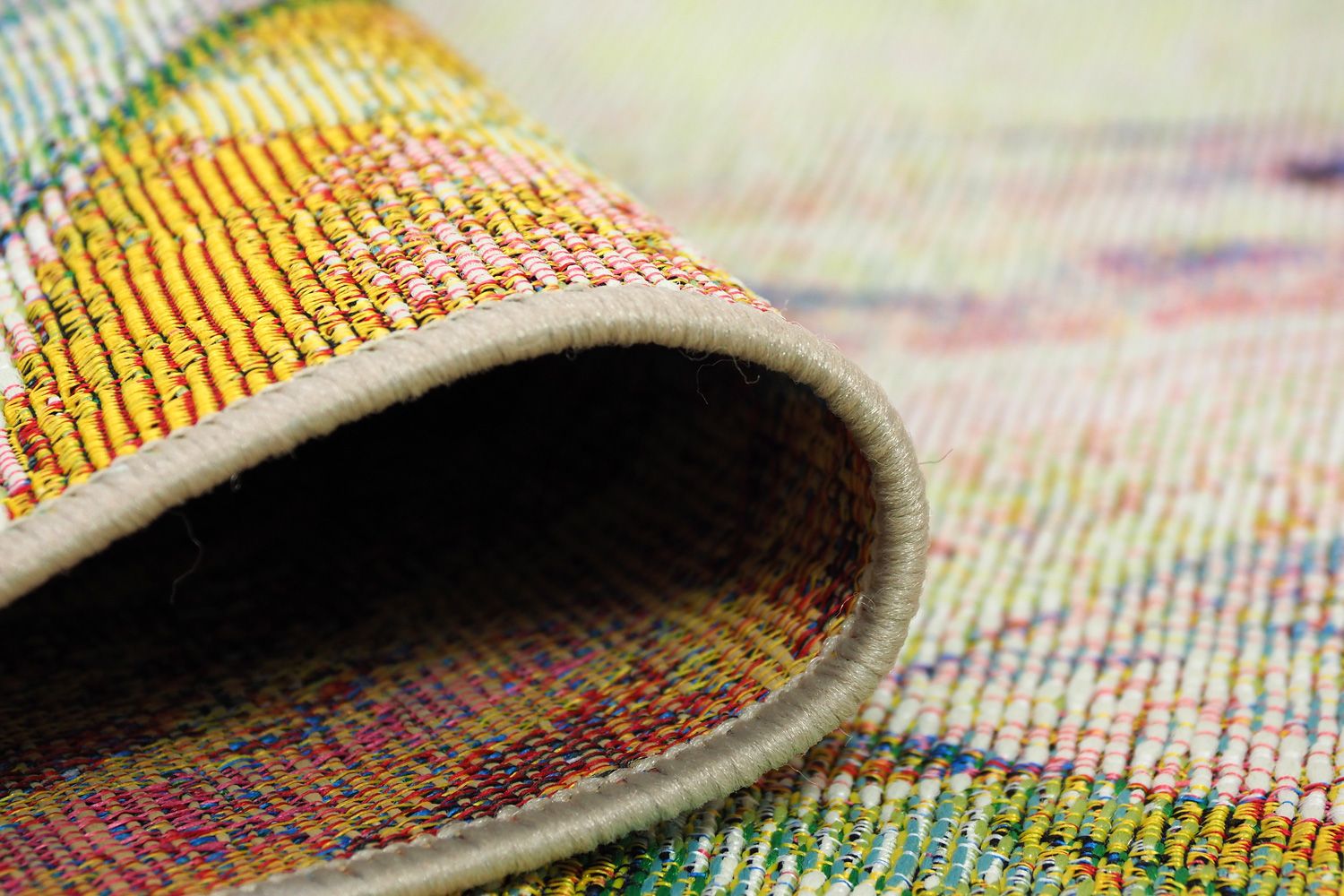 Isla Brazil matto, eri kokoja