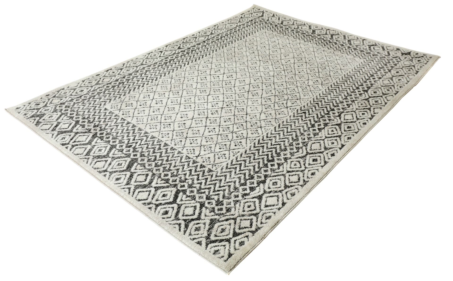 Livia matto, eri kokoja