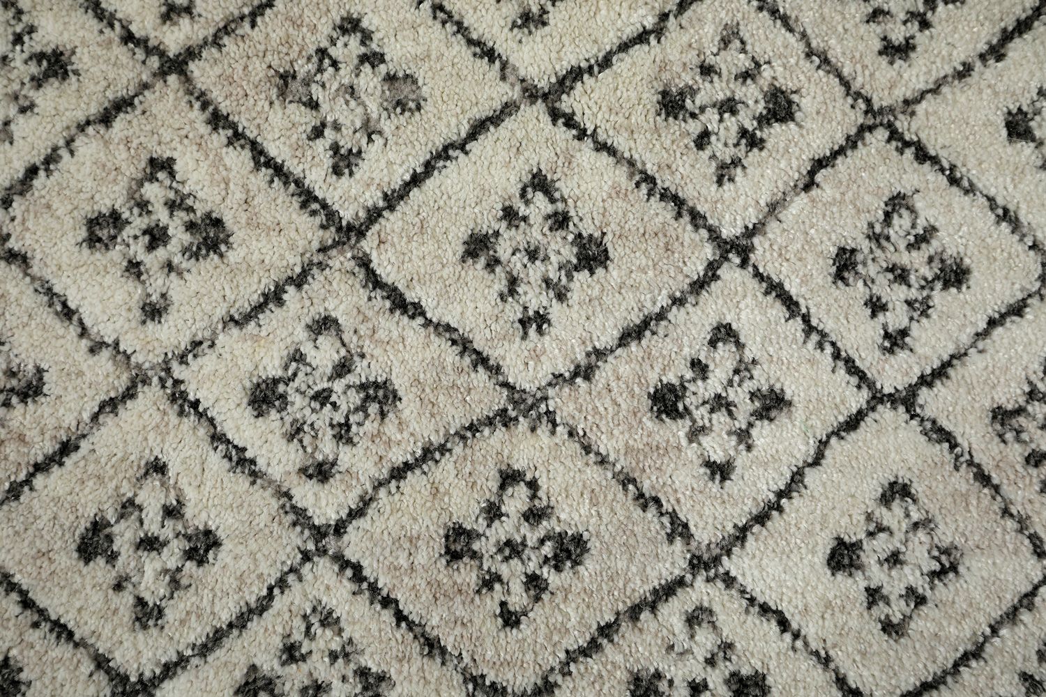 Livia matto, eri kokoja