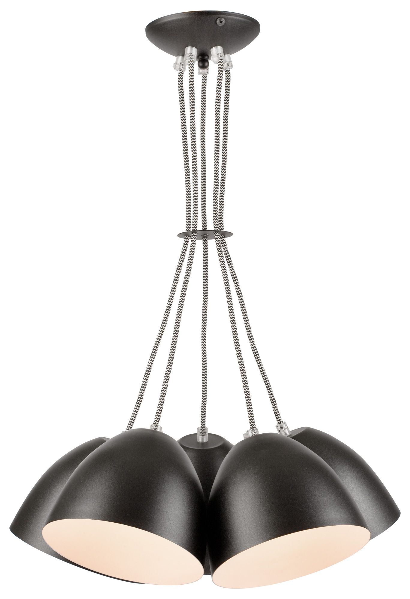 Livia valaisin, musta