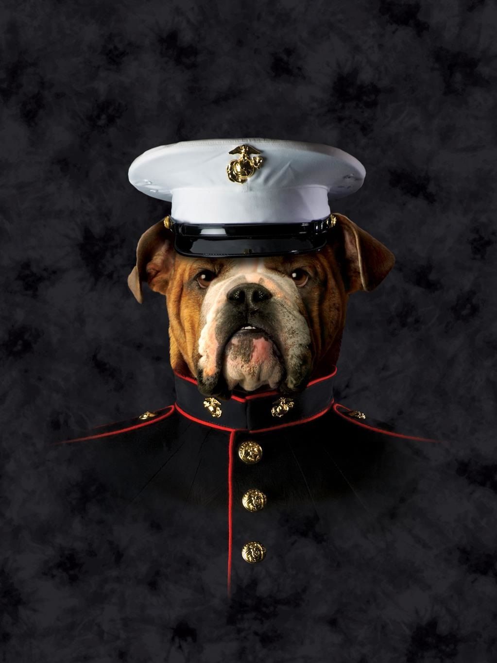 Canvastaulu 40 x 30 x 3 cm Manimals 5