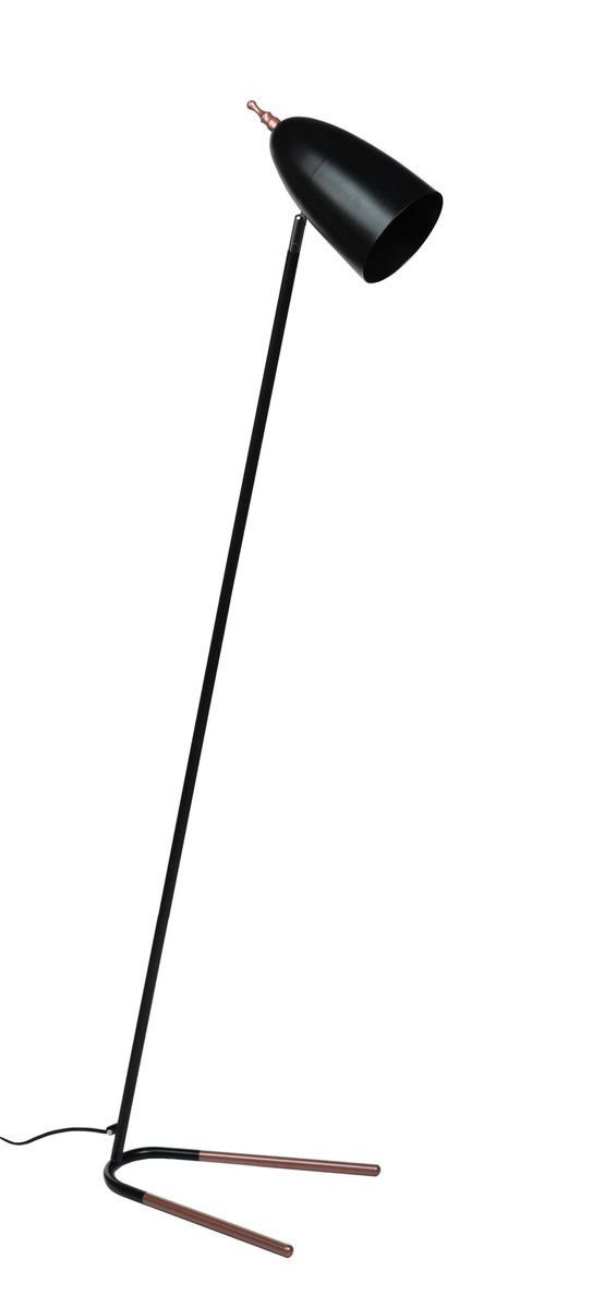 Mark lattiavalaisin, musta-ruusukultanen