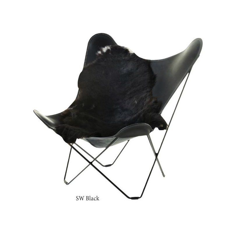 Musta lampaantalja, Icelandic, lyhyt karva