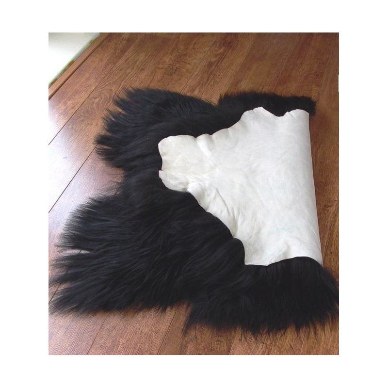 Musta lampaantalja, Icelandic, pitkä karva