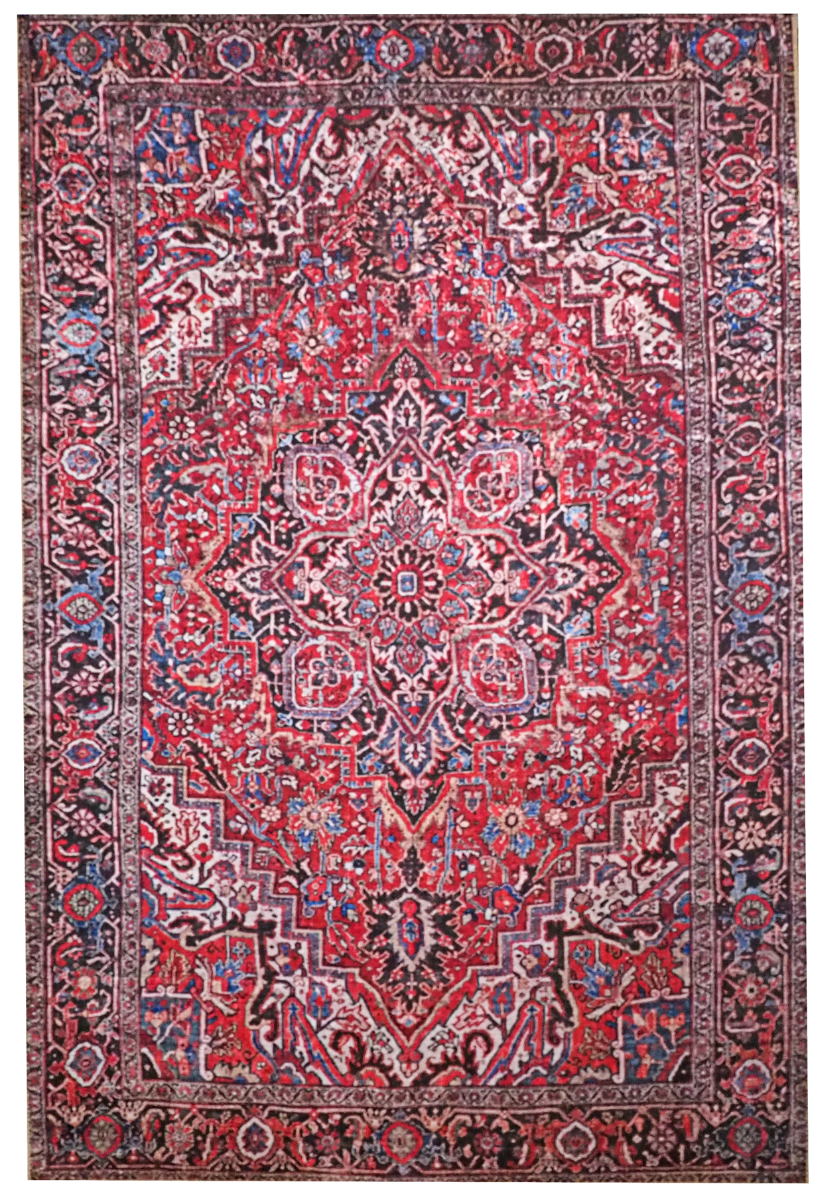 Nefertiti matto, eri kokoja