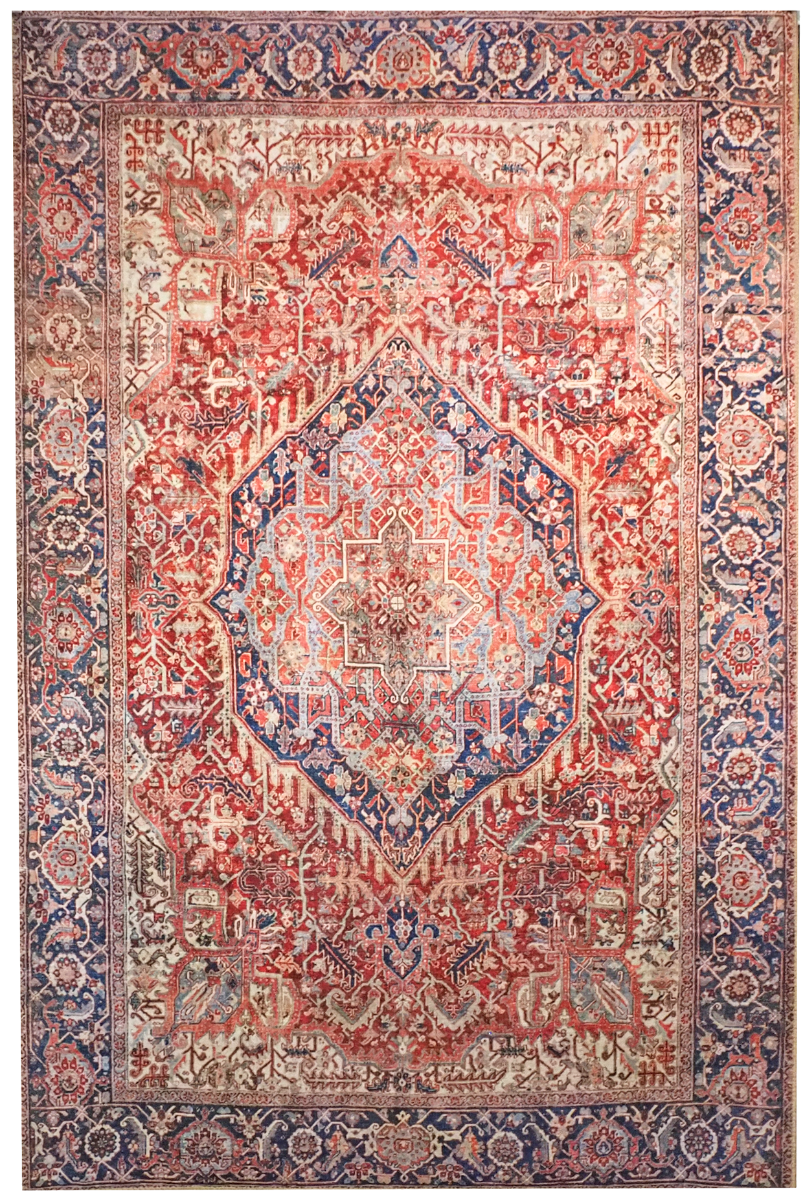 Aurelia matto, eri kokoja