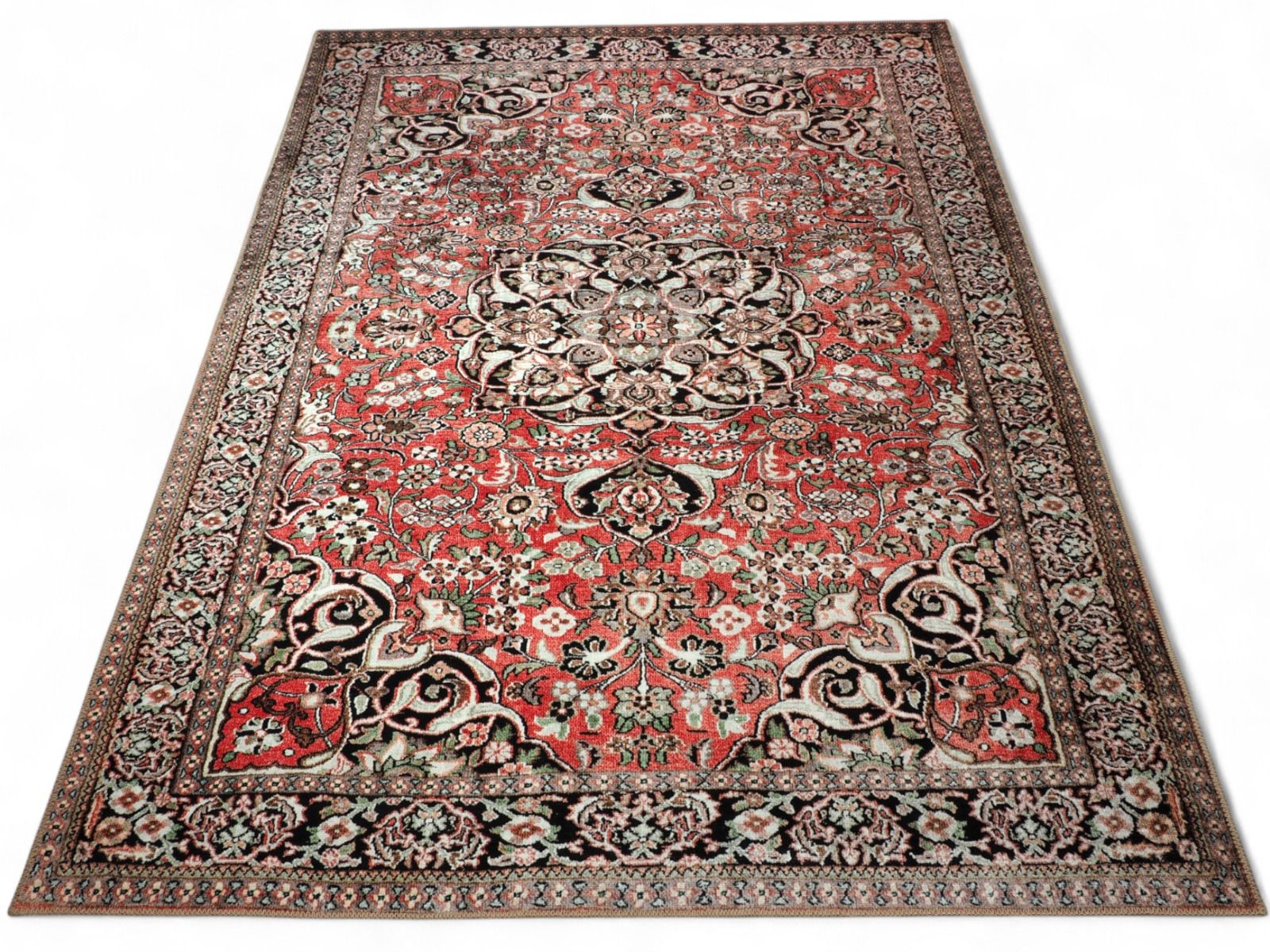 Miriam matto, eri kokoja