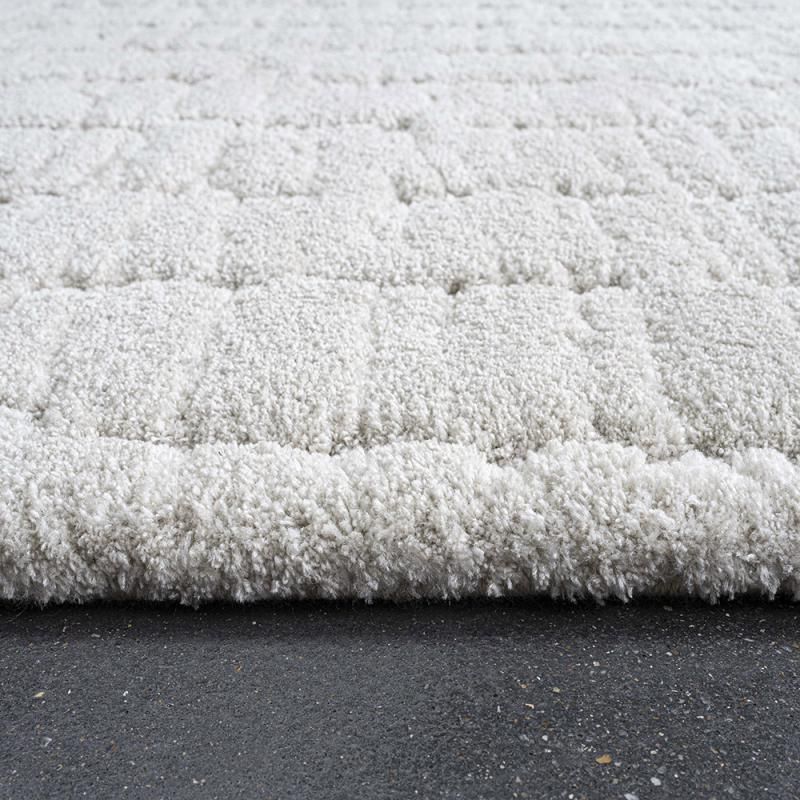 Piazza nukkamatto, eri kokoja