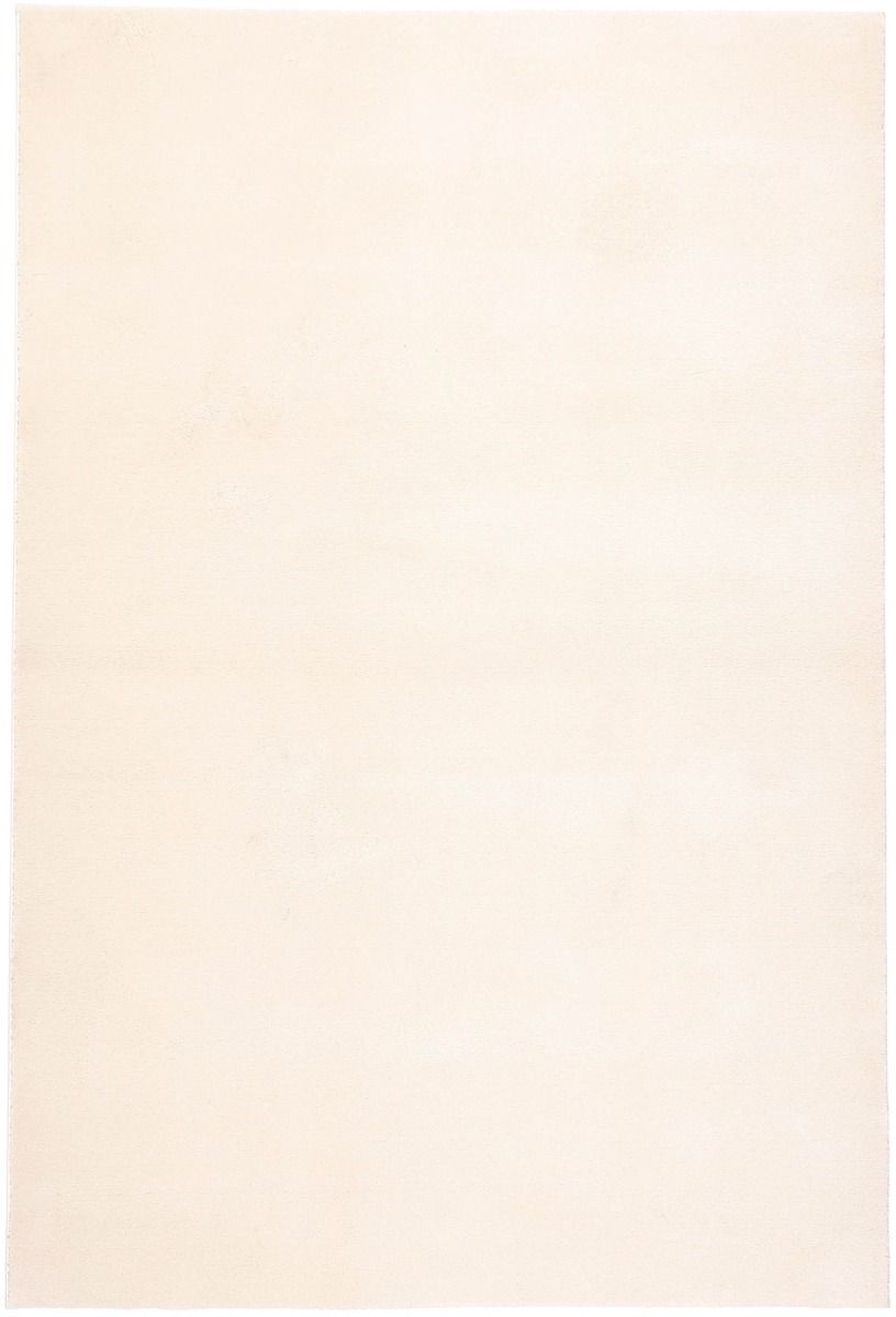 Vm Carpet Puuteri matto, vakiokoot