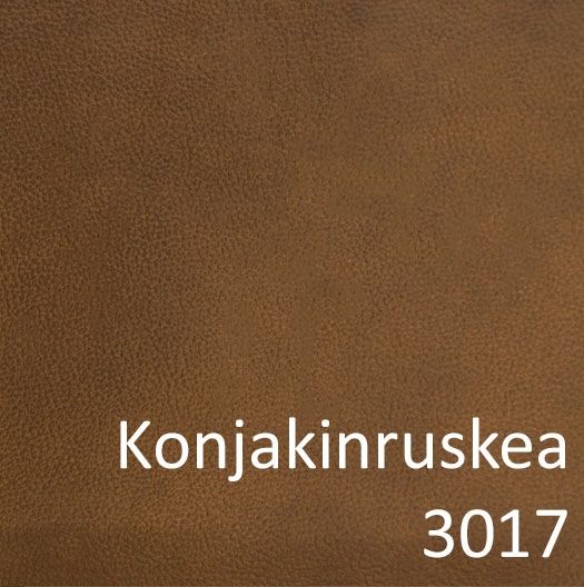 Unico Flamingo 2-istuttava nahkasohva, konjakki