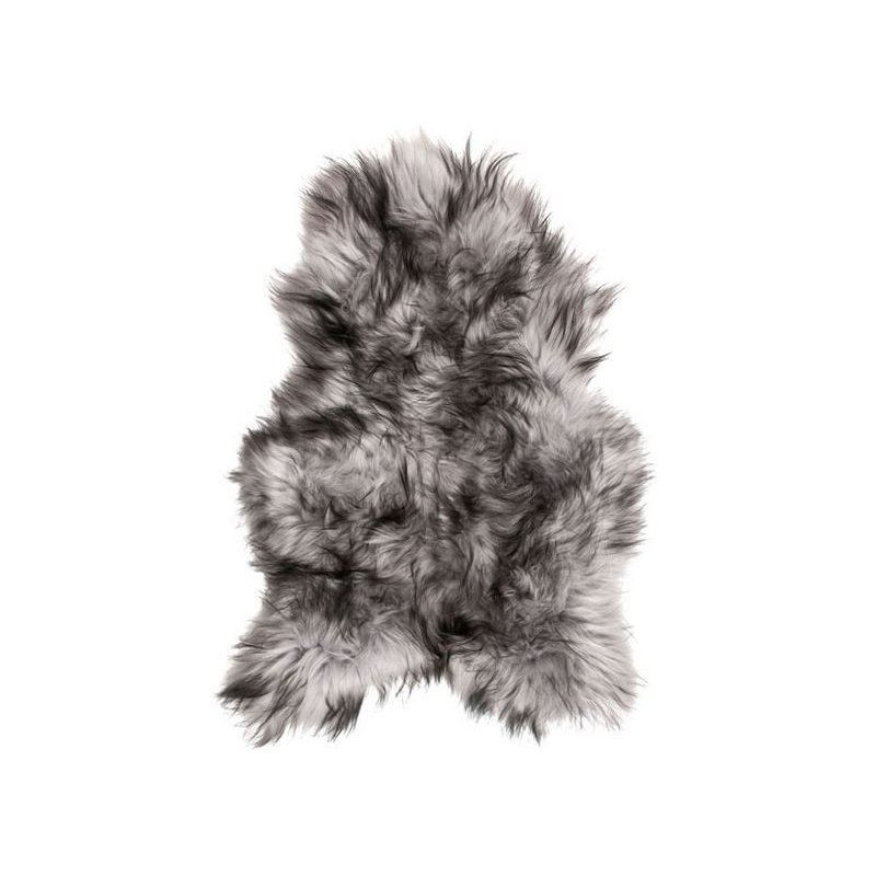 Silver lampaantalja, Icelandic