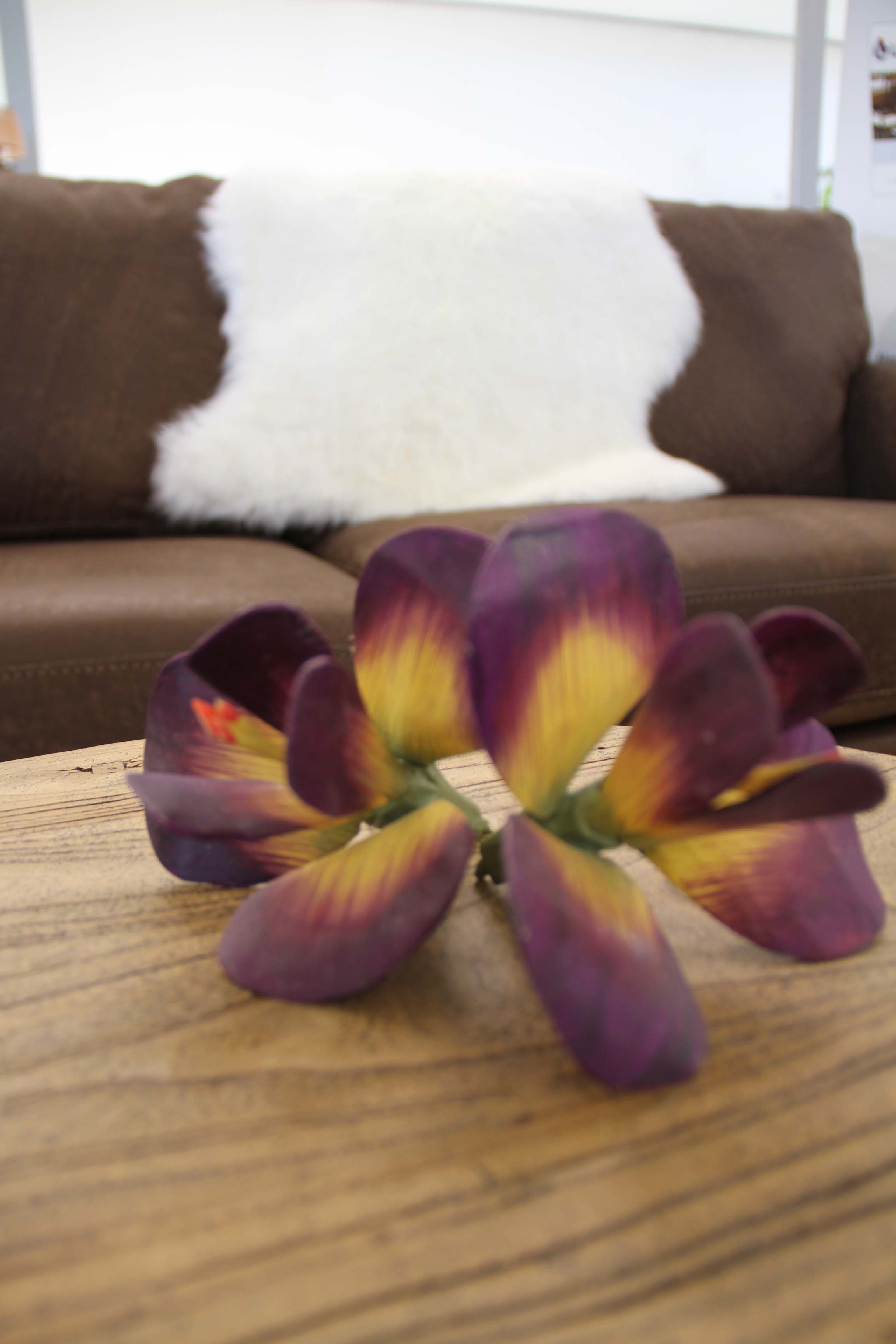 Lampaantaljat, eri värejä